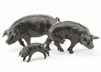 Farm Animal Bronze Sculptures