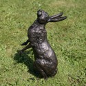 Bronze Hare Sculpture: Garden Star Gazing Hare by Sue Maclaurin (Life Size)