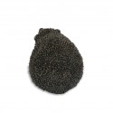 Bronze Hedgehog Sculpture: Rambling Hedgehog by Jonathan Sanders