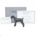 Miniature Schnauzer (Docked) by Sue Maclaurin