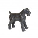 Miniature Schnauzer (Docked) by Sue Maclaurin