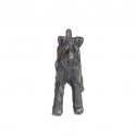 Miniature Schnauzer (Docked) by Sue Maclaurin