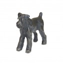 Miniature Schnauzer (Docked) by Sue Maclaurin