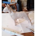 Bronze Dog Sculpture: Standing Bull Terrier by Sue Maclaurin 