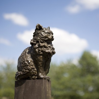Bronze Cat Sculpture: Sitting Cat by Elizabeth Foster