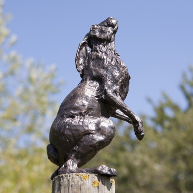 Bronze Hare Sculpture: Garden Moon Gazing Hare by Sue Maclaurin (Life Size)