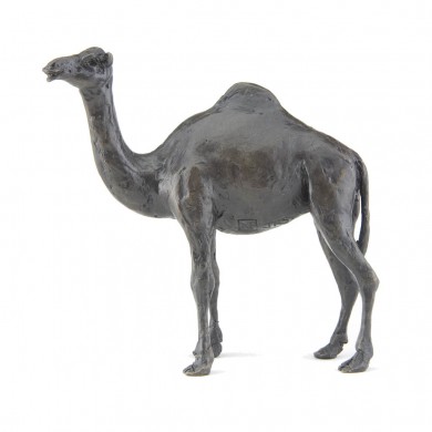 Bronze Camel Sculpture: Standing Camel by Jonathan Sanders