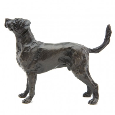 Bronze Dog Sculpture: Standing Labrador by Sue Maclaurin