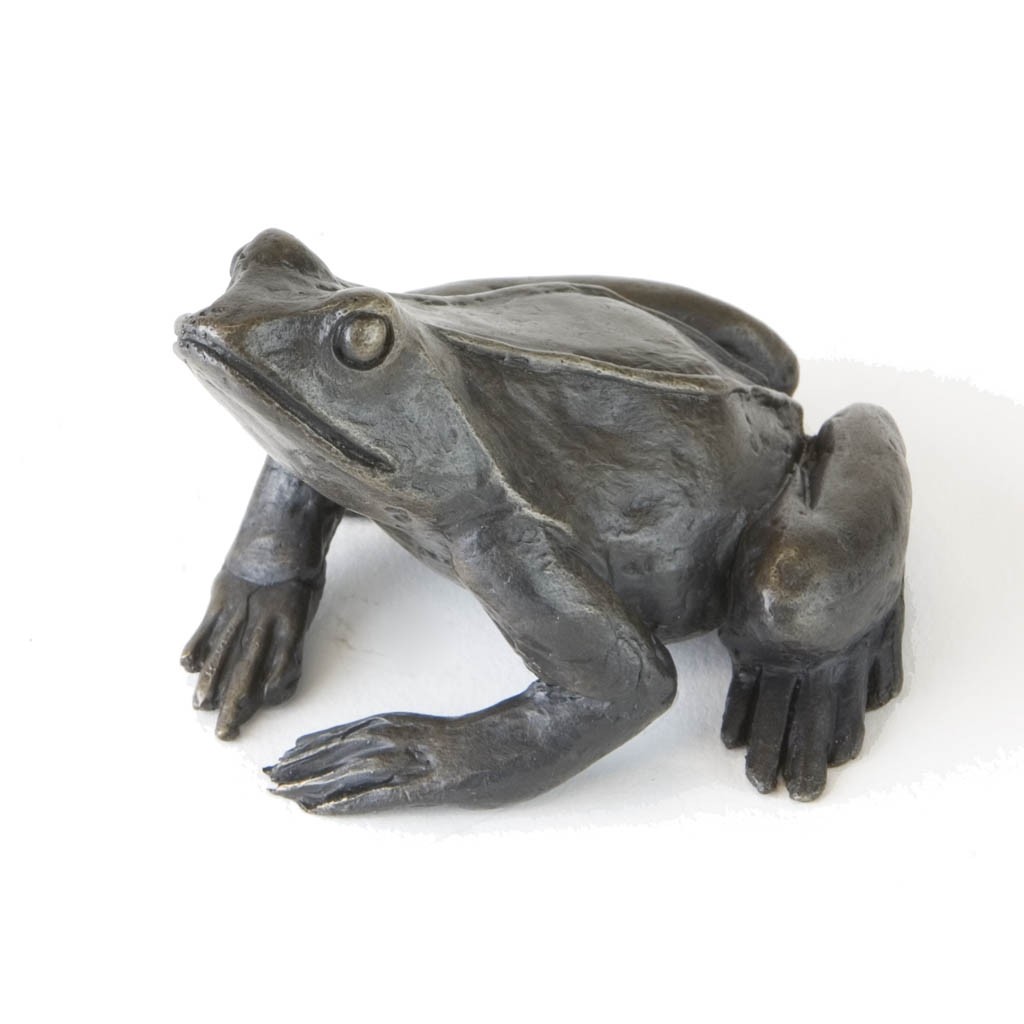 Bronze Frog Sculpture: Sitting Frog by Jonathan Sanders (Life Size)