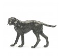 Bronze Hound Sculpture: Standing Hound by Sue Maclaurin