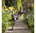 Bronze Hare Sculpture: Garden Flying Hare by Sue Maclaurin (Life Size)