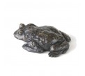 Bronze Toad Sculpture: Sitting Toad by Jonathan Sanders