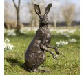 Bronze Hare Sculpture: Garden Alert Hare by Sue Maclaurin (Life Size)