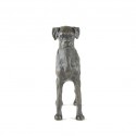 Bronze Dog Sculpture: Boxer Dog (Docked)