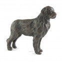 Bronze Dog Sculpture: Newfoundland by Sue Maclaurin