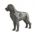 Bronze Dog Sculpture: Newfoundland by Sue Maclaurin