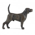 Bronze Dog Sculpture: Standing Beagle by Sue Maclaurin