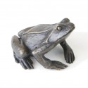 Bronze Frog Sculpture: Common Frog by Jonathan Sanders