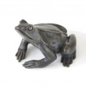 Bronze Frog Sculpture: Common Frog by Jonathan Sanders