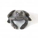 Bronze Frog Sculpture: Common Frog by Jonathan Sanders