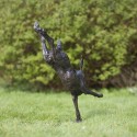 Bronze Hare Sculpture: Garden Flying Hare by Sue Maclaurin