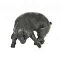 Bronze Pig Sculpture: Medium Pig Head Left by Sue Maclaurin