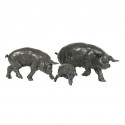 Bronze Pig Sculpture: Pig Family Head Right