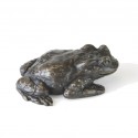 Bronze Toad Sculpture: Common Toad