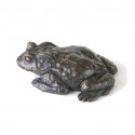 Bronze Toad Sculpture: Common Toad