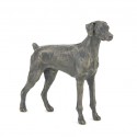 Bronze Dog Sculpture: Standing Dobermann