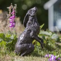Bronze Hare Sculpture: Garden Moon Gazing Hare by Sue Maclaurin (Life Size)