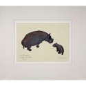 Limited Edition Hippo Print: Study for Hippopotamus by Jonathan Sanders