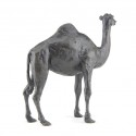 Bronze Camel Sculpture: Standing Camel by Jonathan Sanders