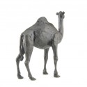 Bronze Camel Sculpture: Standing Camel by Jonathan Sanders