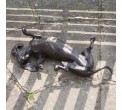 Bronze Dog Sculpture: Garden Rolling Dachshund (Life Size) by Sue Maclaurin **NEW!**