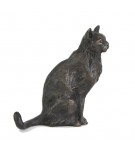 Bronze Cat Sculpture: Sitting Cat II by Sue Maclaurin