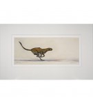 Limited Edition Cheetah Print: Running Cheetah by Jonathan Sanders