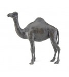 Bronze Camel Sculpture: Standing Camel by Jonathan Sanders