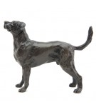 Bronze Dog Sculpture: Standing Labrador by Sue Maclaurin