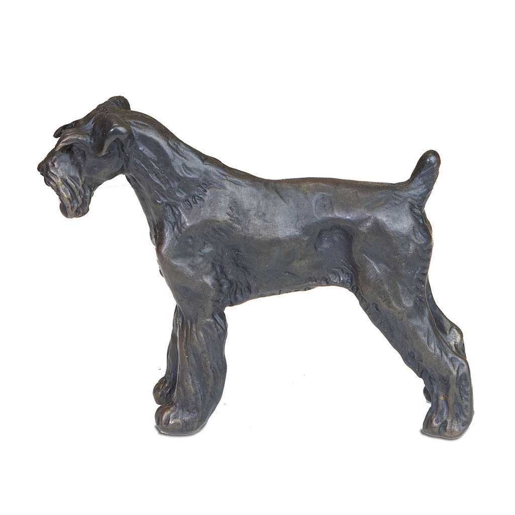 Miniature Schnauzer (Docked) by Sue Maclaurin